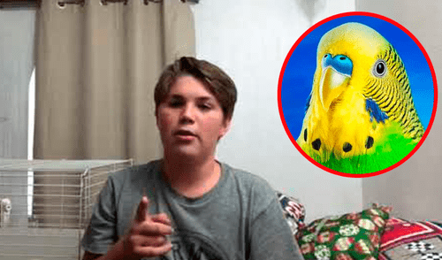 Vía YouTube: dueño de 'Chimuelo' lanza su propio canal y se convierte en youtuber [VIDEO] 