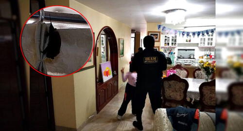 Facebook: murciélagos causan pánico al irrumpir en vivienda de familia trujillana Facebook: murciélagos causan pánico al irrumpir en vivienda de familia trujillana