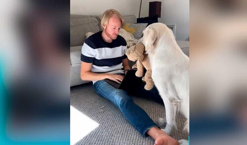 Desliza las imágenes para ver la inesperada escena que protagonizó este can y su dueño. Foto: Captura de Facebook/Woof Woof