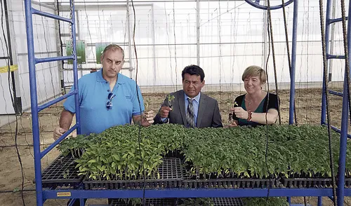 Primer invernadero en Sechura para beneficio de estudiantes y campesinos Primer invernadero en Sechura para beneficio de estudiantes y campesinos
