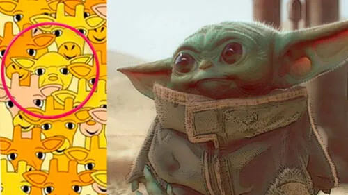 Desliza las imágenes para ver el lugar en el que se ocultó el travieso 'Baby Yoda' en este reto visual. Foto: Facebook