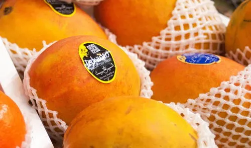 En Corea del Sur el mango es un fruto de lujo y se paga US$ 9,6 por seis unidades