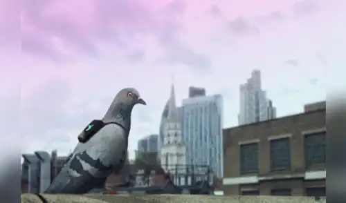 ¿Cómo luchan las grandes ciudades contra la contaminación ambiental?