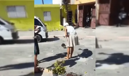 YouTube Viral: Video donde perro y gato se aparean genera asombro en la red