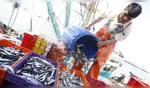 Renuevan compromiso para salvaguardar la biodiversidad marina