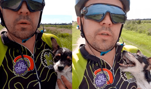 Facebook: ciclista rescata a perro infectado por garrapatas en plena carretera [VIDEO]
