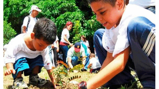 Más del 70% de niños están interesados en el cuidado del medio ambiente, según estudio. Foto: Difusión
