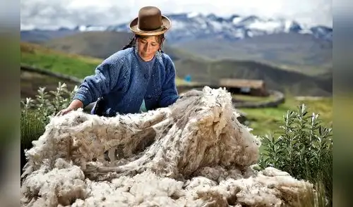 Productos peruanos se posicionarán en Rusia con la oportunidad del Mundial Productos peruanos se posicionarán en Rusia con la oportunidad del Mundial