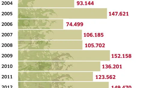 Pérdida de bosques (2001 - 2016) Pérdida de bosques (2001 - 2016)