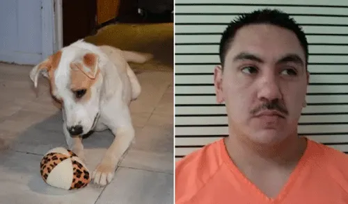 Hombre rapta a exesposa y tortura a la mascota hasta dejarlo agonizando [VIDEO]