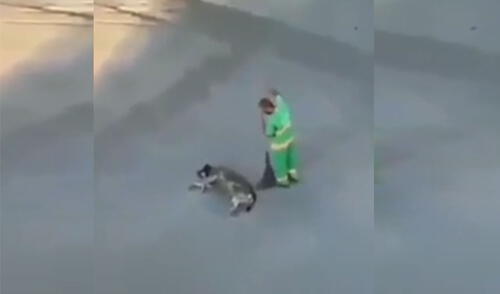 Trabajador de limpieza usa su escoba para ‘rascar’ la barriga de un perro callejero [VIDEO]