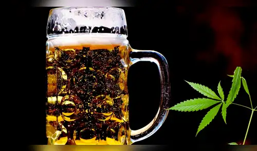 Estados Unidos: sacarán a la venta primera cerveza sin alcohol a base de cannabis Estados Unidos: sacarán a la venta primera cerveza sin alcohol a base de cannabis