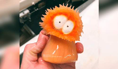 10 extrañas criaturas capturadas en el fondo del mar cuyo aspecto asusta a todos [FOTOS]