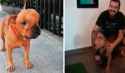 YouTube viral: hombre adoptó a perro con tumor maligno para darle amor y cuidarlo en sus últimos días de vida
