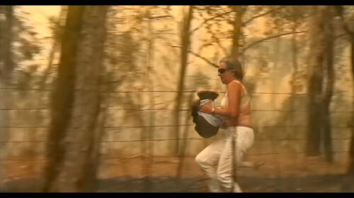 Mujer arriesga su vida para salvar a koala de un incendio en Australia [VIDEO]