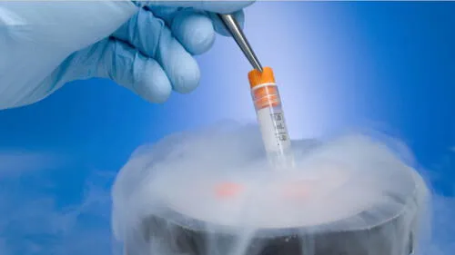 Reino Unido: Murió su hijo y tomaron su esperma para tener un nieto