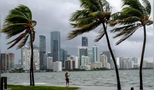 En Twitter, conmovedoras imágenes de animales captados buscando refugio en medio de huracán Irma [FOTOS]