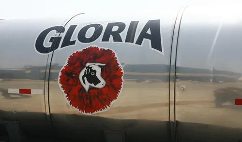 Panamá no importará más de Grupo Gloria: “Pura Vida simula ser leche” Panamá no importará más de Grupo Gloria: “Pura Vida simula ser leche”