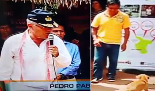 Facebook: La graciosa reacción de PPK cuando ve un perrito se vuelve viral 