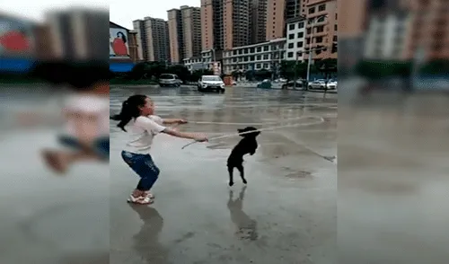 Facebook viral: perro sorprende saltando soga con niña de forma sincronizada 