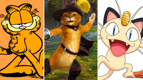 Día Internacional del Gato