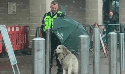 Vigilante protege a perrito de fuerte lluvia que tiritaba de frío a la espera de su dueño [FOTOS]