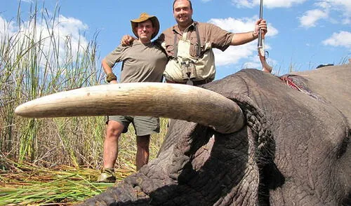 Contra el tráfico de marfil