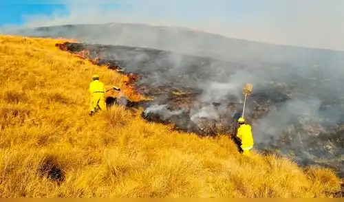Incrementa número de incendios forestales en Cusco.