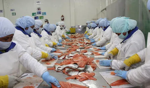 La pesca es la actividad más golpeada en el primestre del año debido al COVID-19. Foto: Difusión La pesca es la actividad más golpeada en el primestre del año debido al COVID-19. Foto: Difusión
