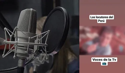 Estas son las voces de América TV, Latina, ATV, Panamericana, Willax y Viva TV. Foto: composición LR/Instagram/RadioNacional locutores, día del locutor