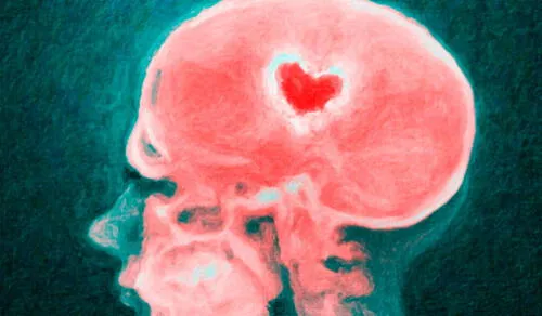 Los procesos químicos que se producen en el cerebro al momento del enamoramiento. Imagen referencial.