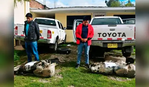 Ayacucho: Policía de Carreteras incauta 91 kilogramos de cocaína