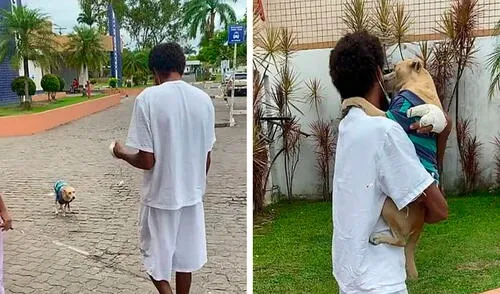 TikTok viral: dan permiso a paciente para que vea a perrita que lo estuvo esperando 20 días afuera del hospital