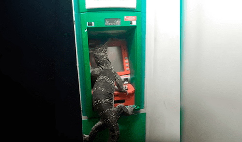 Facebook viral: enorme reptil invade un cajero automático y aterra a usuarios [VIDEO]
