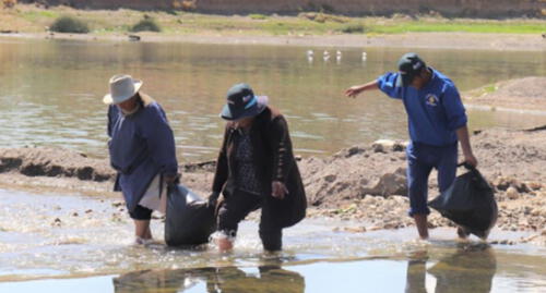 Voluntarios de Puno recolectaron 10 toneladas de basura en río Ilave. Voluntarios de Puno recolectaron 10 toneladas de basura en río Ilave.