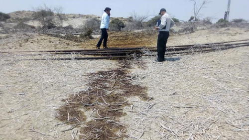 Piura: Graña y Montero Petrolera realiza remediación ambiental tras derrame de crudo 