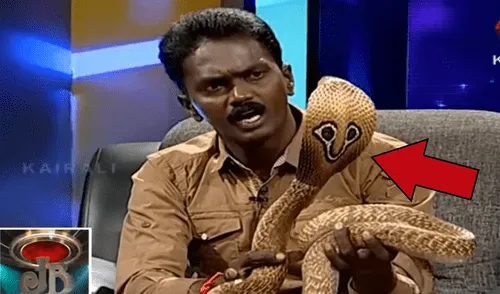 YouTube viral: hipnotizador de serpiente intenta domar a cobra en programa en vivo y sucede lo más espantoso [VIDEO]
