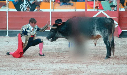 Cajamarca: sacerdote afirma que cuestionar la corrida de toros es una locura Cajamarca: sacerdote afirma que cuestionar la corrida de toros es una locura