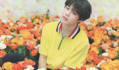 Jimin de BTS se corona en nueva encuesta de preferencias surcoreanas. BTS, Jimin, Kpop, ARMY