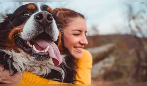 Escrito en el ADN: el amor por los perros se halla en los genes