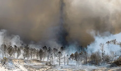 Trece agencias en EE.UU. dejan mal a Trump sobre el cambio climático Trece agencias en EE.UU. dejan mal a Trump sobre el cambio climático