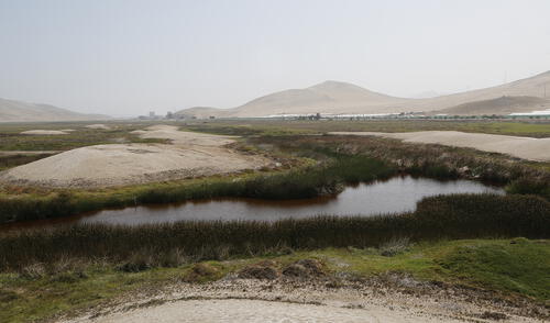 Los humedales de Puerto Viejo, cada vez con menos áreas verdes [FOTOS]