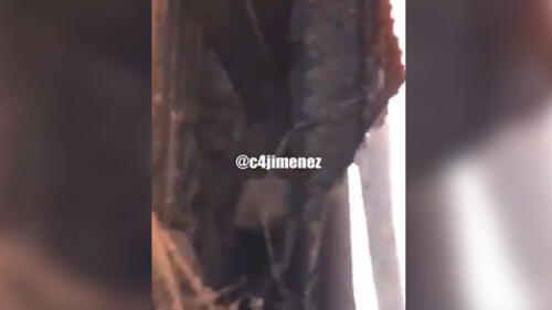 Rescatan a bebé recién nacida que estaba atrapada entre dos paredes