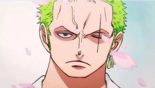 One Piece Zoro
