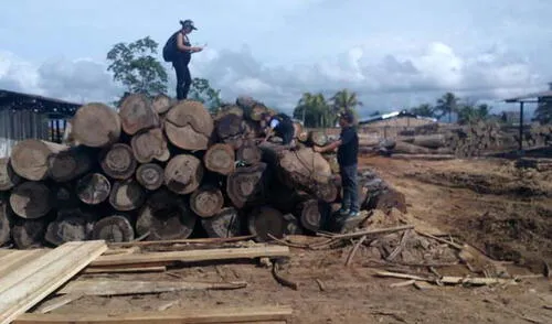 Iquitos: Policía incautó un millón y medio de pies tablares de madera 