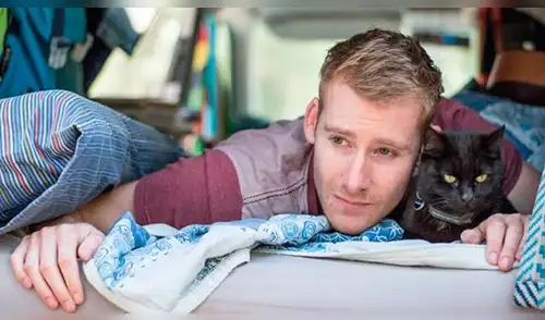 Instagram: renunció a su trabajo y vendió todo para recorrer Australia junto a su gata [FOTOS]