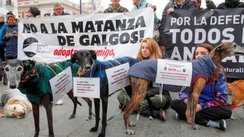 La finalidad de la protesta es que se cree una ley de protección animal. (Foto: RTVE) La finalidad de la protesta es que se cree una ley de protección animal. (Foto: RTVE)