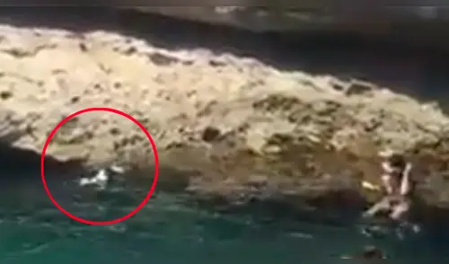 Facebook viral: Perro ve a su amo lanzarse a lago y realiza valiente sacrificio para salvarlo [VIDEO] 