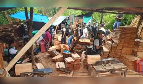 Vraem: Fuerzas combinadas Incautan más de 13 mil pies tablares de madera