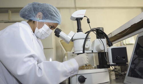 Según datos del Instituto de Estadística de la UNESCO, a nivel mundial únicamente el 29% de las personas dedicadas a la investigación y la ciencia son mujeres. Foto: Andina